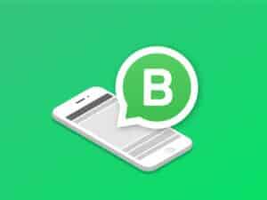 whatsapp business api