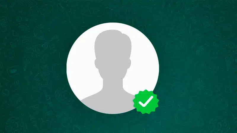 whatsapp corporativo selo de conta verificada - DT Network