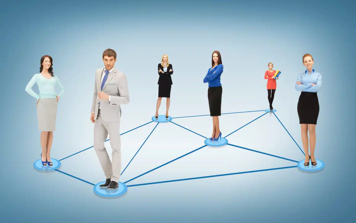 - DT Network