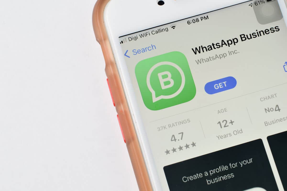 Como usar a API do WhatsApp para impulsionar o seu negócio