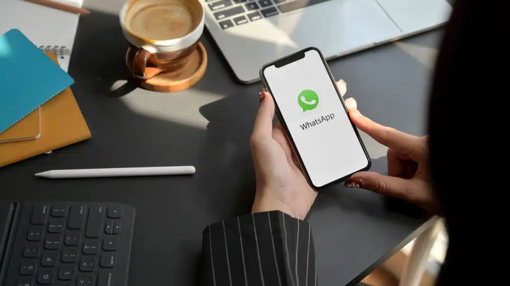 whatsapp business