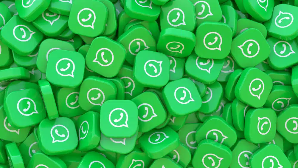 whatsapp business api