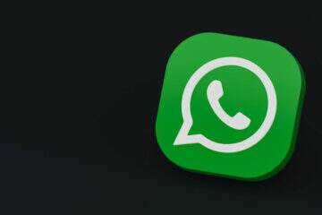 WhatsApp 31 - DT Network