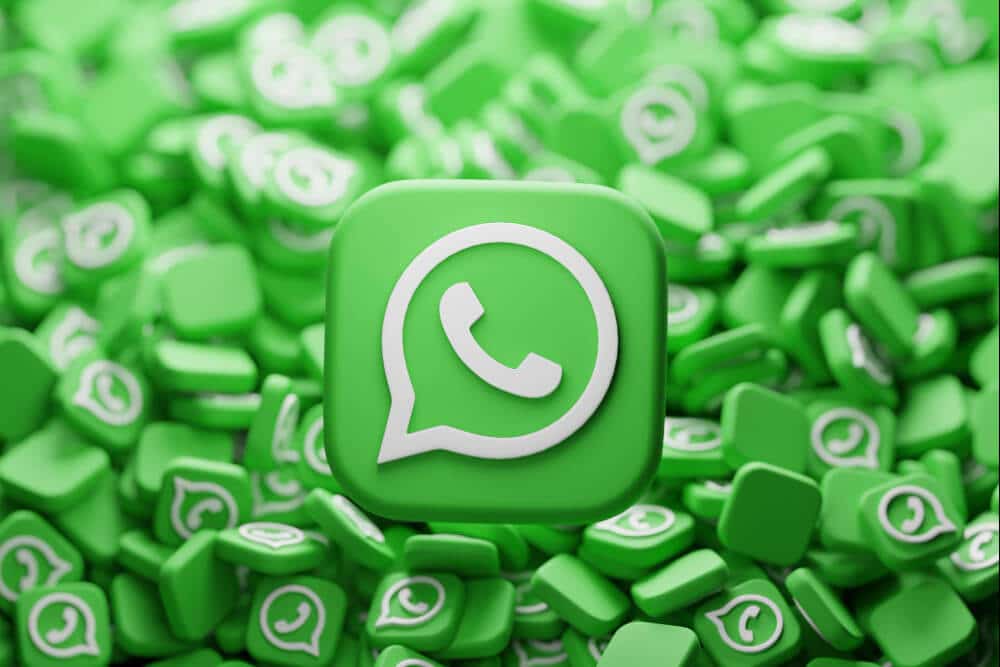 WhatsApp 7 - DT Network