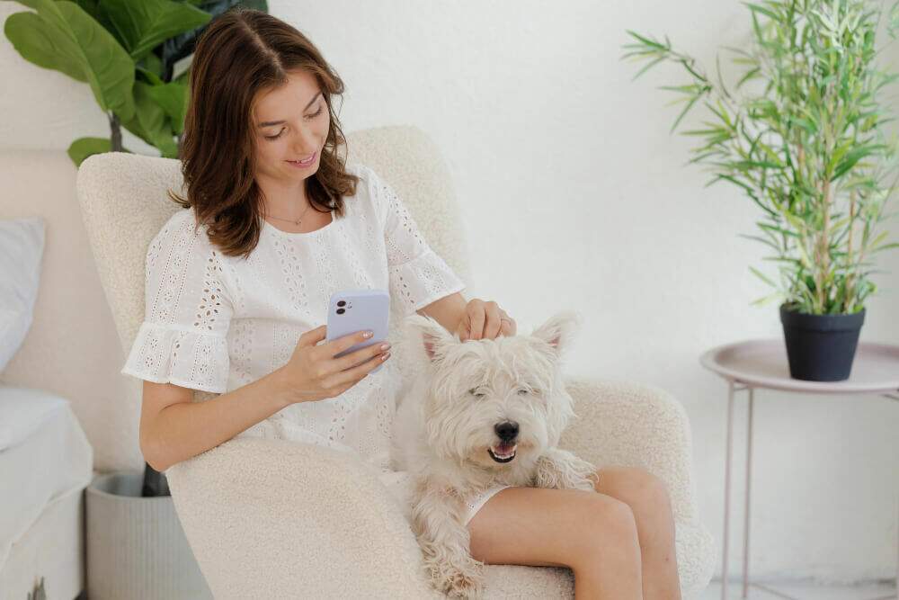 Wi-Fi para visitantes em serviços de banho e tosa