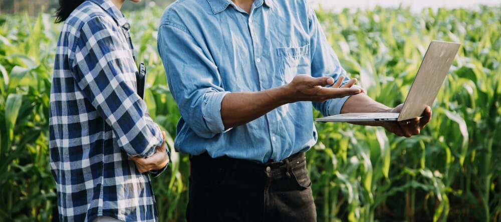 Wi-Fi em empresas de agronegócio