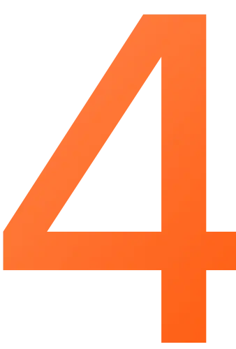 4 - DT Network