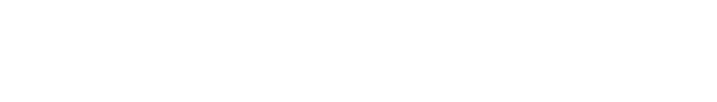 logo indutiva branca - DT Network