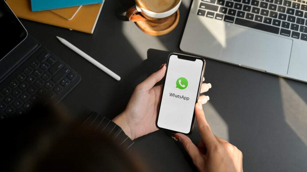 celular na mão no whatsapp empresarial simbolizando whatsapp para empresa com funciona