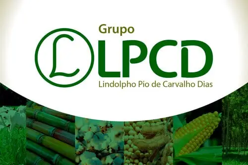 Grupo LPCD - Cliente DT Network