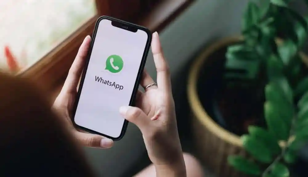 whatsapp atendimento chat