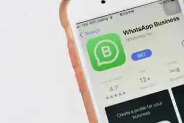 whatsapp business