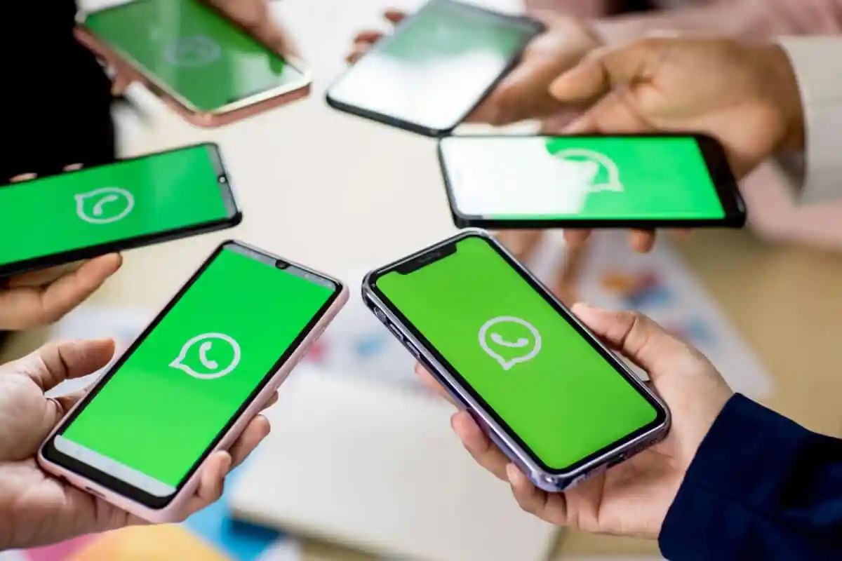 whatsapp business api