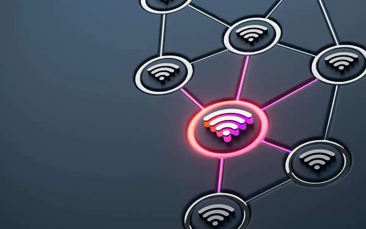 - DT Network