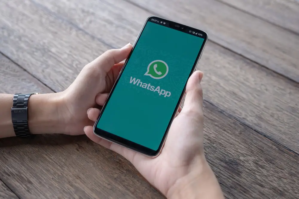 utilizar o WhatsApp na equipe